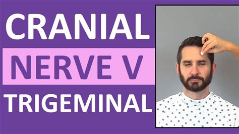 sharp soft test|How to Assess Cranial Nerve V (Trigeminal).